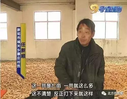 楂樹环鐜夌背绉嶅瓙,闇夊彉鐜夌背鍘傚