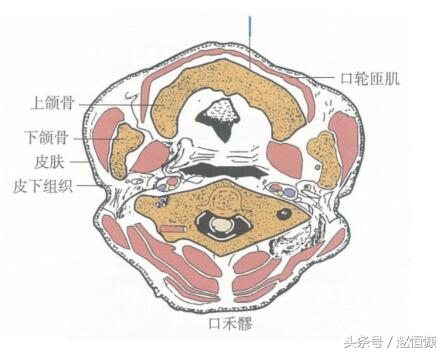 单纯性鼻炎鼻甲肥大,慢性鼻炎萎缩性鼻炎怎么导致的