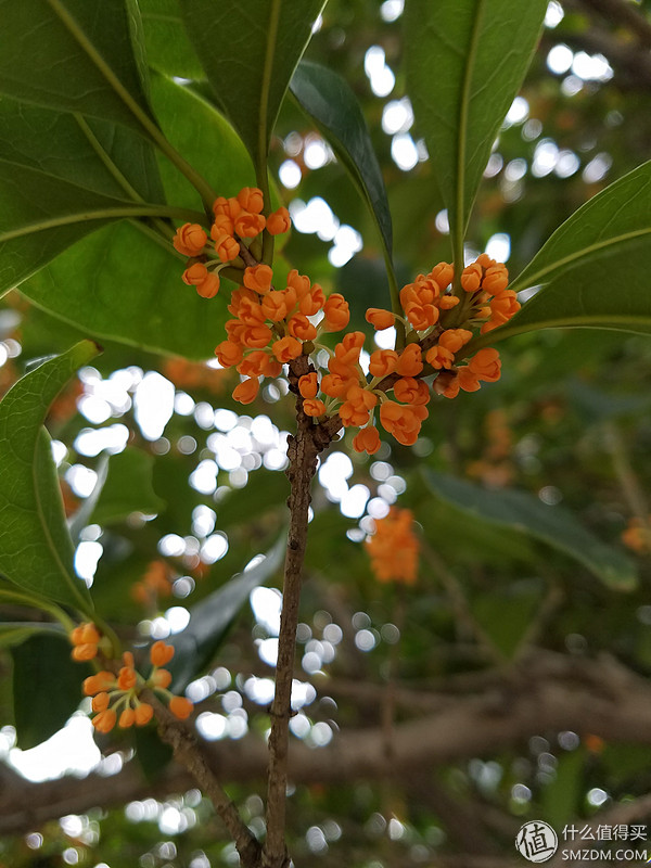 三星s7edge2021年用还行不,三星s7edge还能玩几年