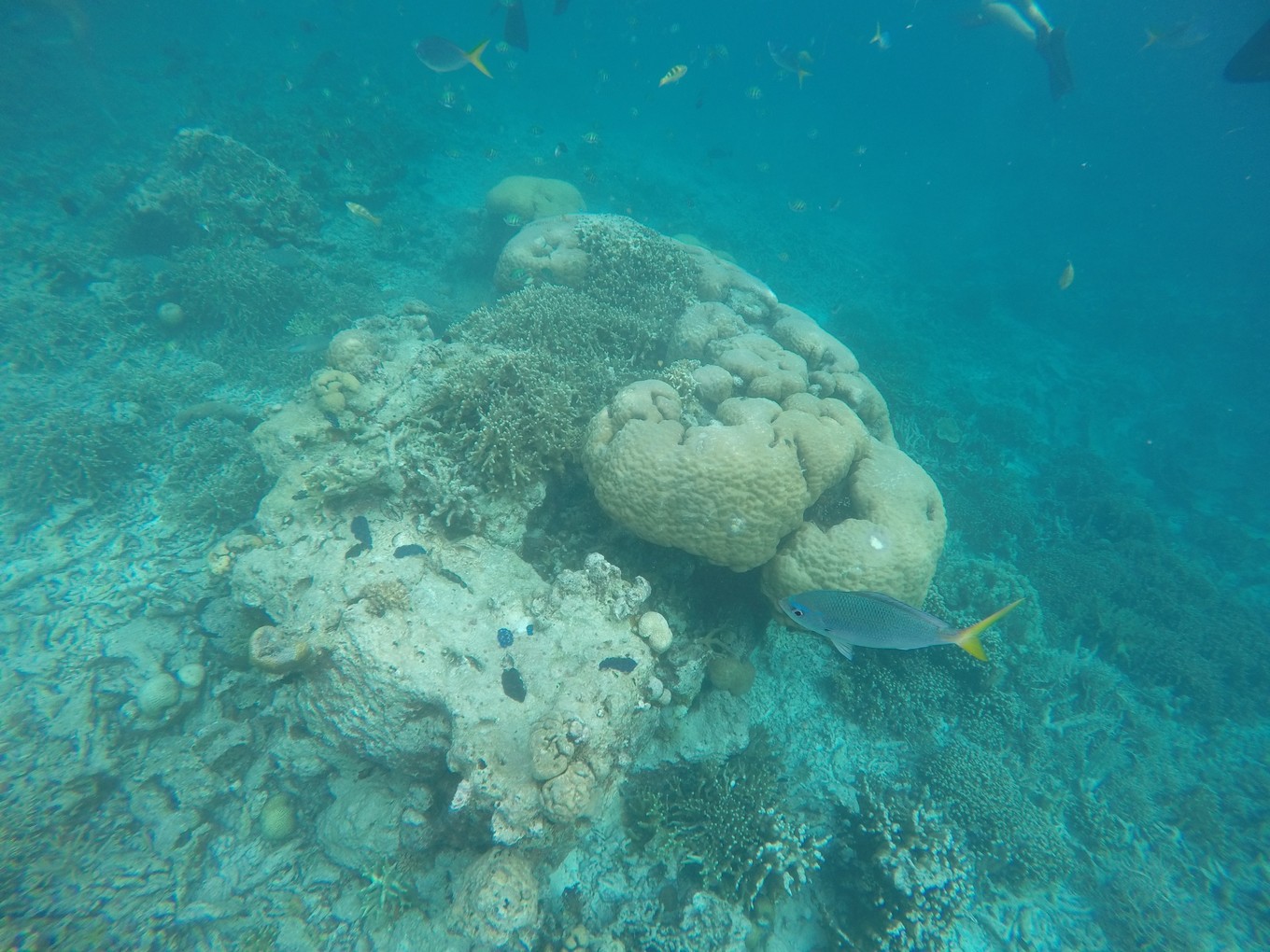 帕劳旅行攻略大全图文,帕劳旅行攻略图文大全