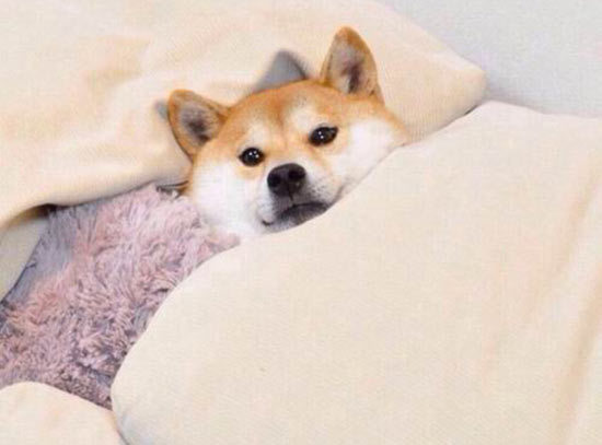 选择微信头像怎么选,你用的什么微信头像