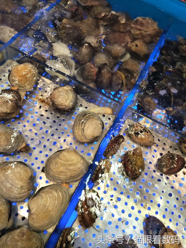 oppor9splus测评游戏,oppor9plus性能评测