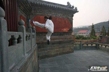 一龙挑战八极拳吴大伟,一龙敢拿兵器和陈师行吗