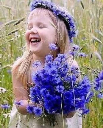 新年赏国花,世界各地最美的国花