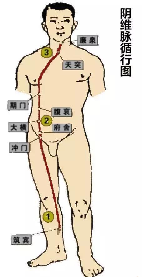 调理肝脾肾三脏中医经方,肝脾肾三条经络淤堵怎么调理