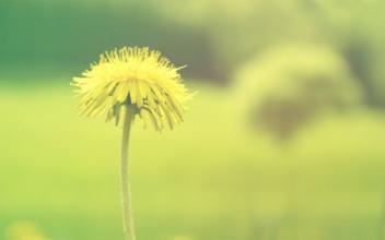 若是能重来我就选李白,如果一切可以重来你会如何