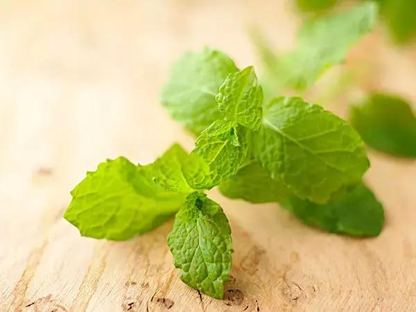 感冒咳嗽没胃口该吃什么菜,感冒咳嗽不知道吃什么菜好