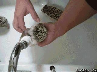 俄罗斯男子酒吧打架,俄罗斯酒吧斗殴