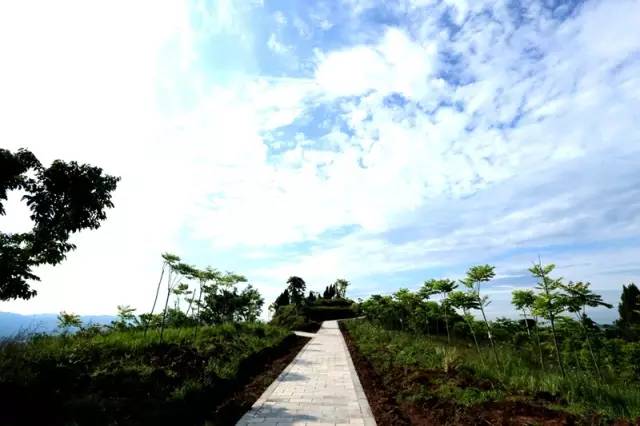 渠县有几个旅游公园,渠县文峰山公园七彩花田