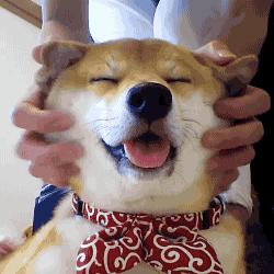 婚前护肤指南,婚前做美容注意事项