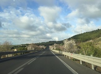 西西里岛自由行,西西里岛两日游攻略