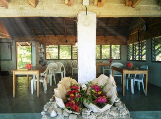 瓦努阿图用美元吗,瓦努阿图1000万是多少人民币