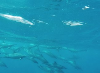 毛里求斯个人集锦,毛里求斯全部记录