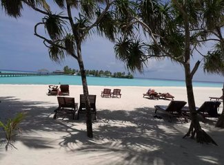 马尔代夫旅行回忆,马尔代夫经济型岛屿