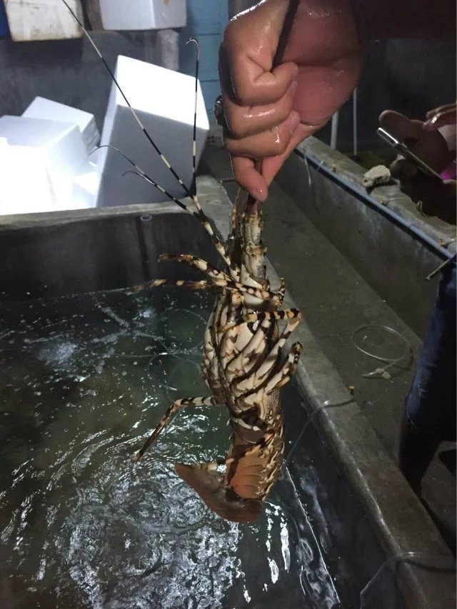 越南芽庄美丽的夜晚,越南芽庄的海上真美