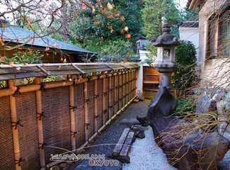 逛不尽的东瀛－二刷日本十五天