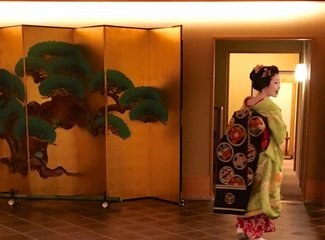 逛不尽的东瀛－二刷日本十五天