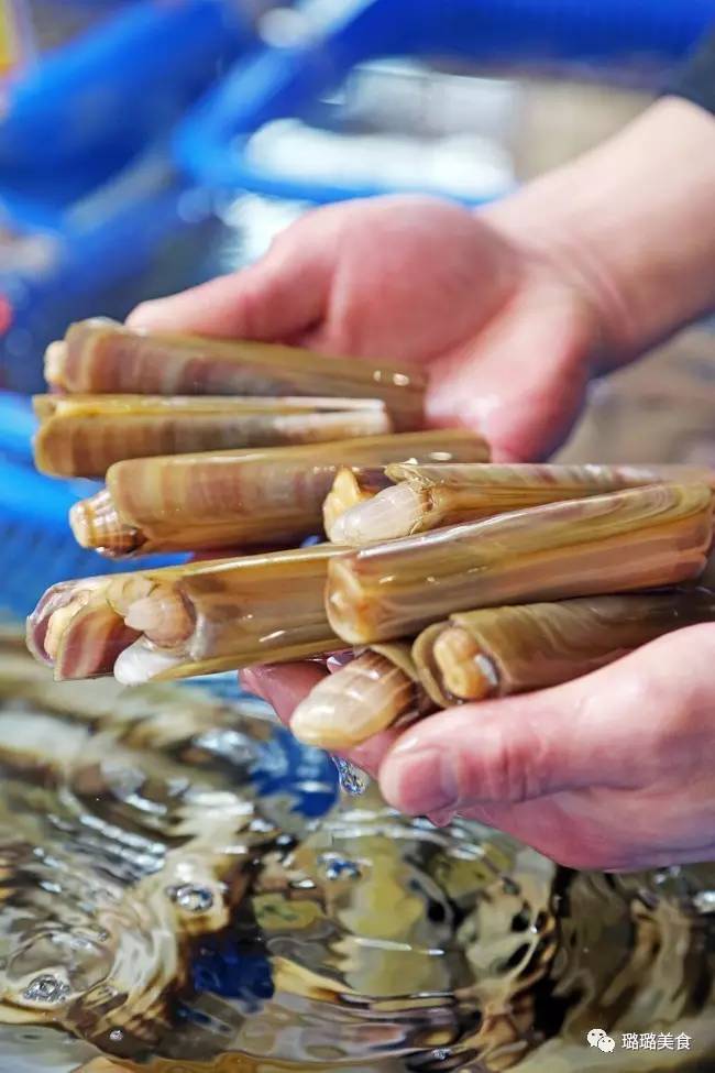 澳加新英美的稀奇海鲜都能在常州这家店吃到！而且元旦连送3天日本松叶蟹！