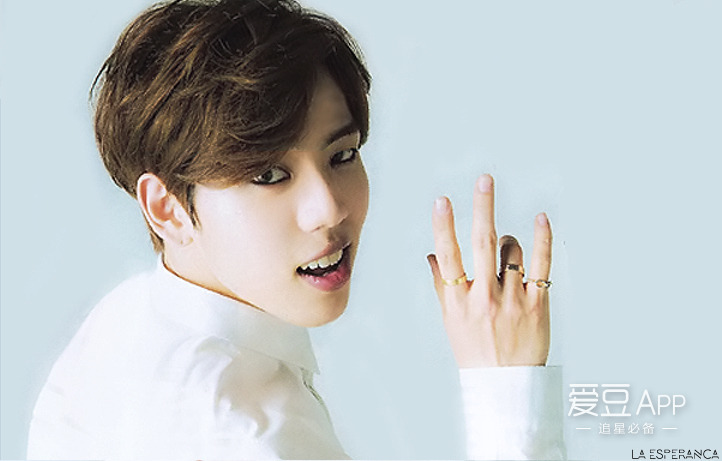 infinite2015世巡首尔,infinite2013