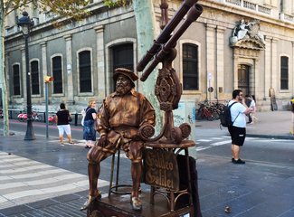 法兰西板鸭,板鸭西班牙语