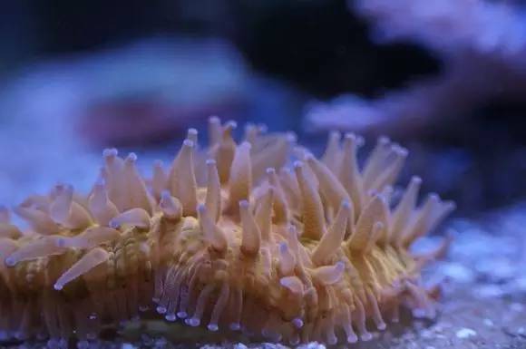 玩的真溜,三千玩出了三万的水平!