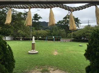 盛世公主号邮轮五日行程安排,千禧号豪华游轮图片