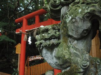 意外的旅程电视剧,意外的旅程原文