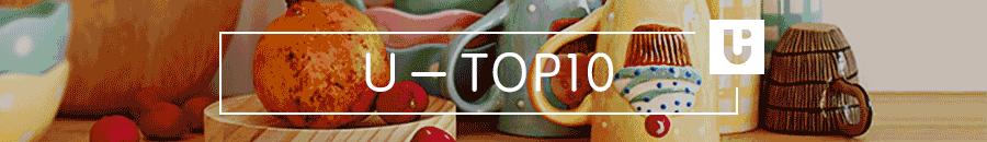 U-TOP10｜200元的吹风机就能拯救被烫坏的鸡窝头，真心划算！