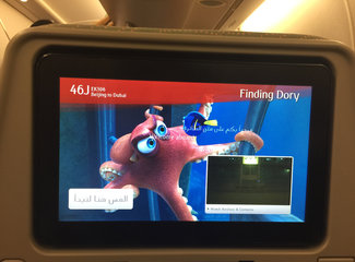 103-1013爱丁堡-剑桥-伦敦慢慢走细细看