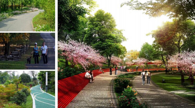 渠县有几个旅游公园,渠县文峰山公园七彩花田