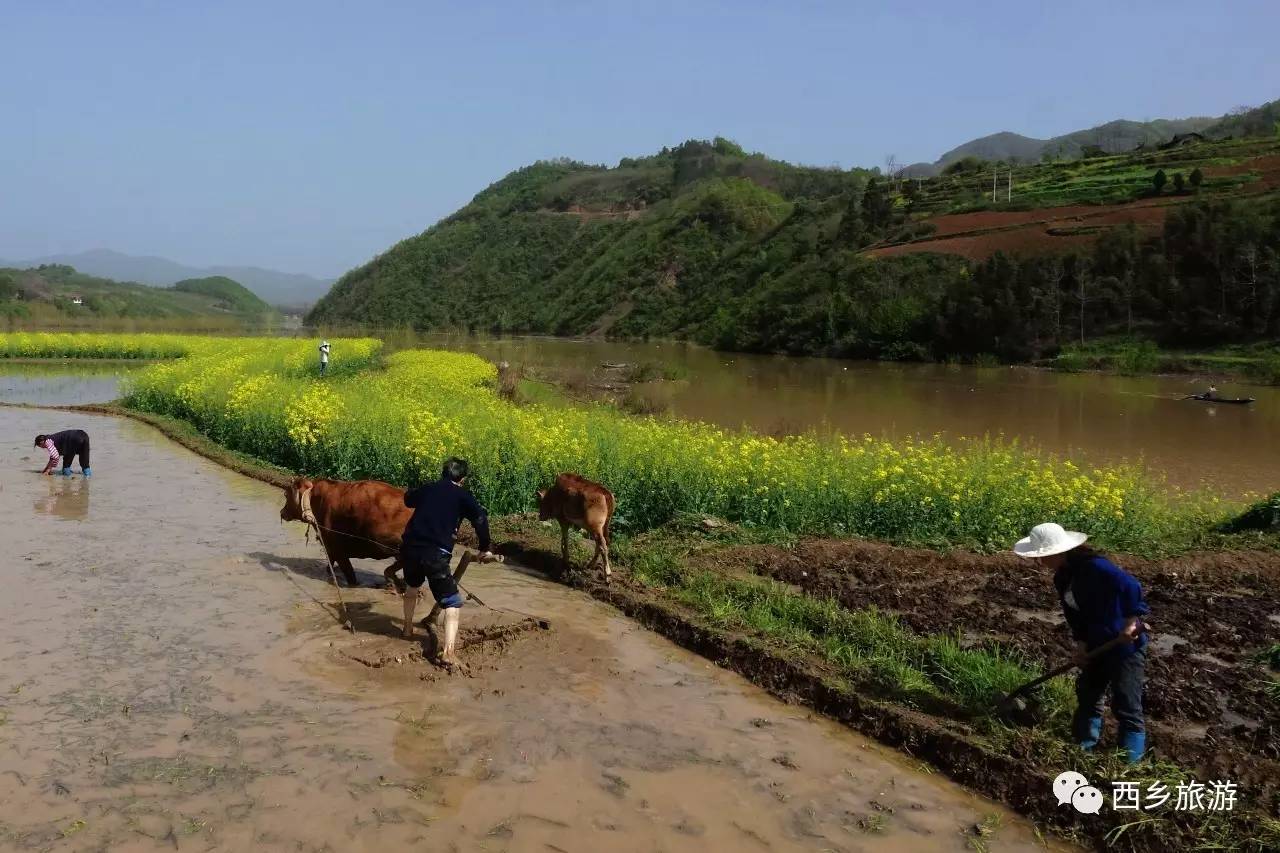 中国美劳动美主题摄影,劳动最美摄影大赛作品护士