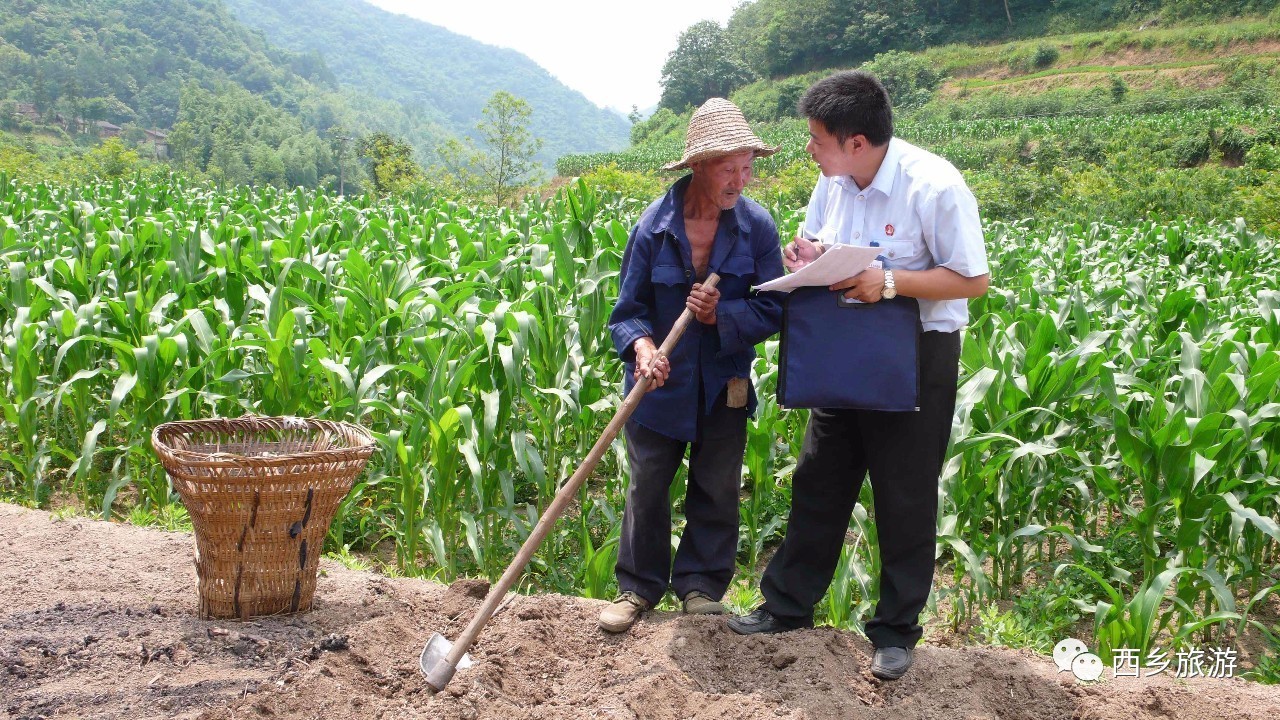 中国美劳动美主题摄影,劳动最美摄影大赛作品护士