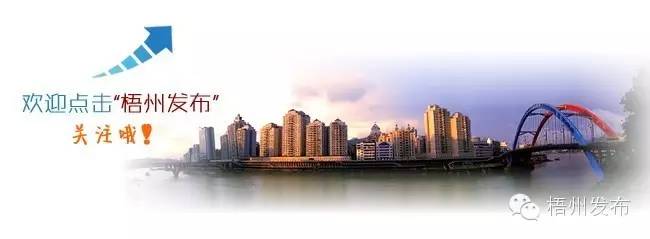 刚刚过去的一年是令人难忘的一年,刚刚过去的一年