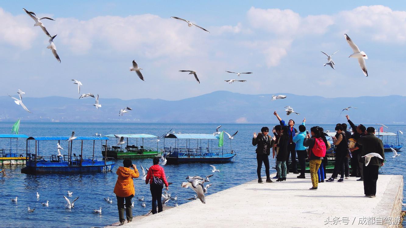 东川红土地距离元谋土林有多远,元谋土林东川红土地