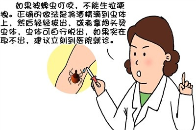 朋克公主艾薇儿已经37岁了吗,艾薇儿隐退了多少年