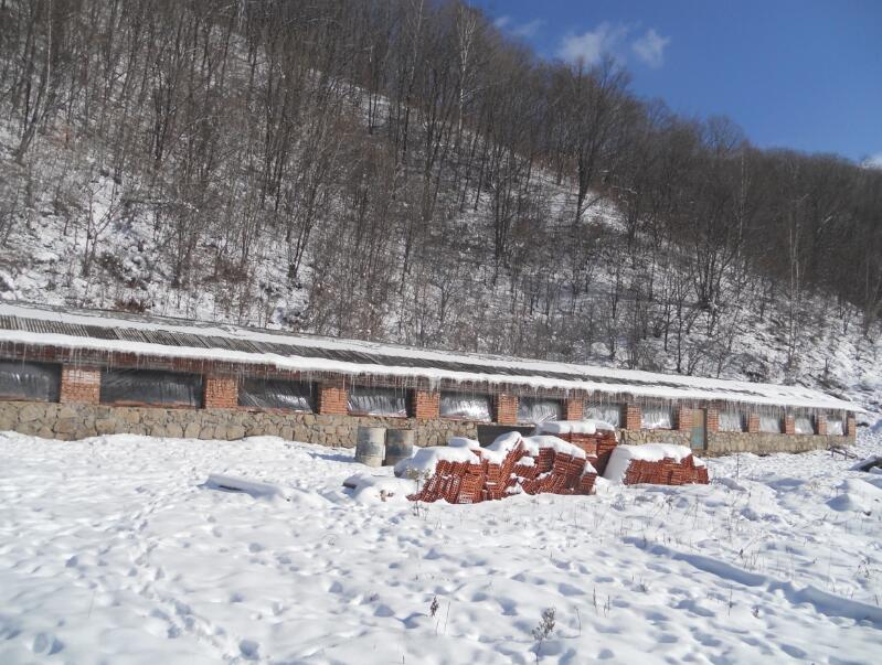 不得不看的禽畜冬季疾病的预防小知识