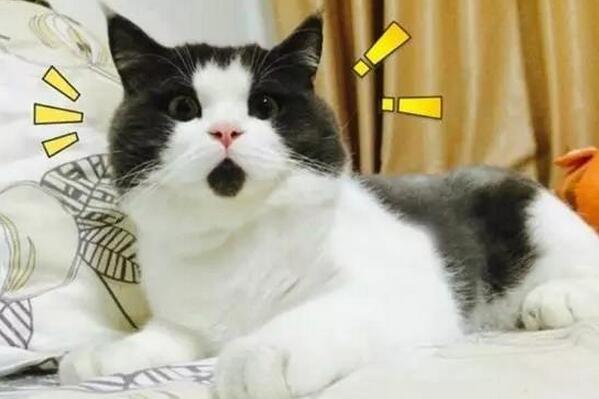 气管炎咳嗽止咳最快的一招秘方,张仲景咳嗽止咳最快的一招秘方