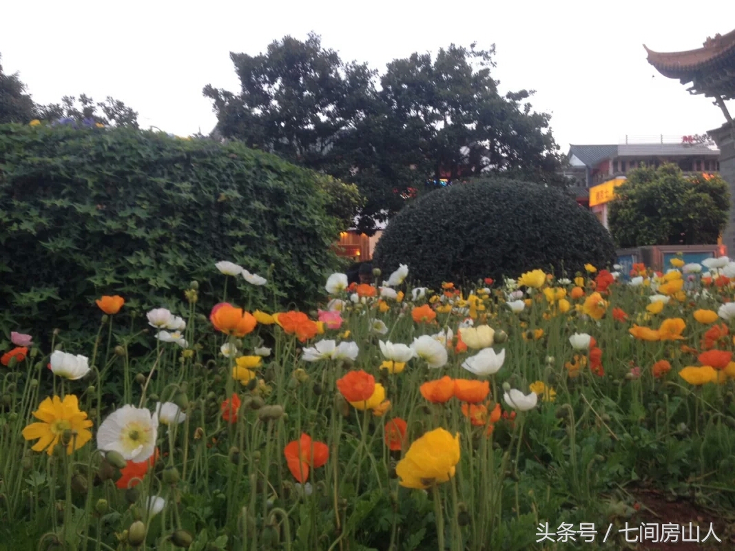 人在旅途四川成都,人在旅途四川