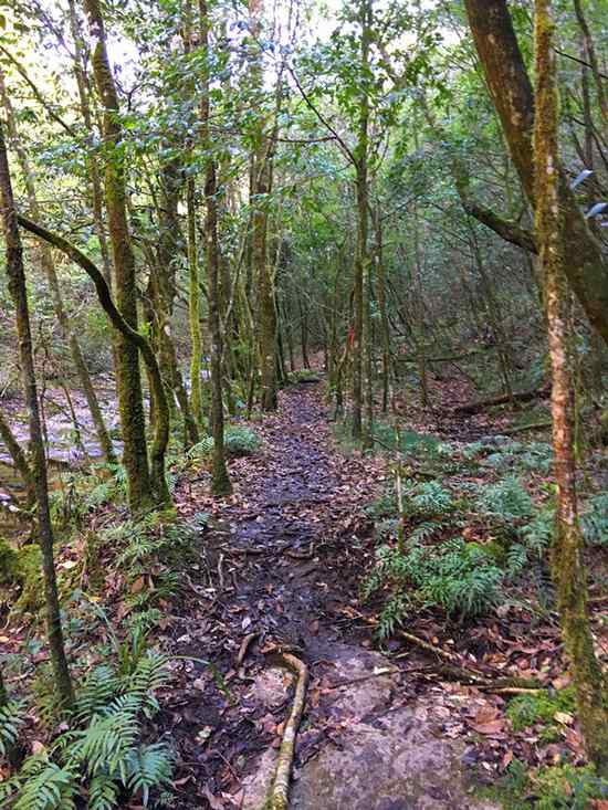 驴友眼里长空栈道,驴友眼中的世外桃源完整版
