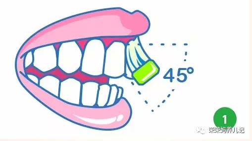 盘点李*荣大**的牙刷军团！其实吧，牙刷并不是重点，怎么刷才是！