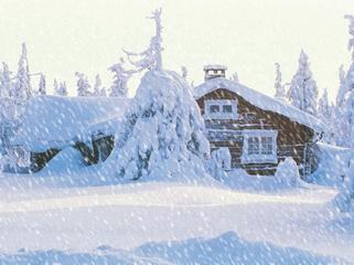 盼雪来的诗句,临屏诗词