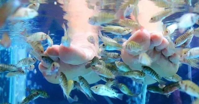 清远英德奇洞温泉小镇,英德奇洞温泉度假村