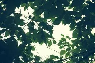 越听越有味儿的句子,越读越有味句子