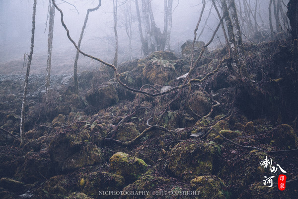 「成都躲霾攻略」喇叭河的圣诞奇缘