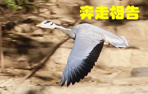 深圳医院需要48小时看病吗,深圳看病不排队