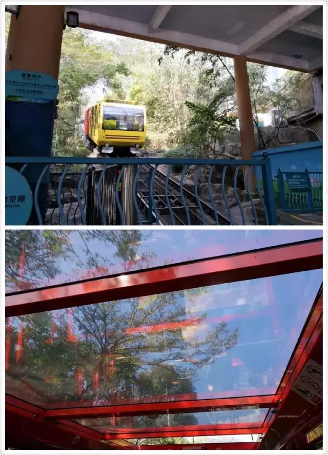 广东冬天看雪的最佳旅游地,广东周边冬天看雪最适合去哪旅游