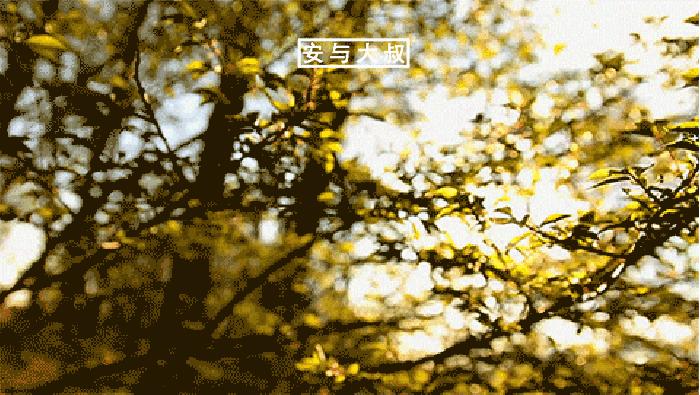 爱一定要追求,爱一定要深爱吗