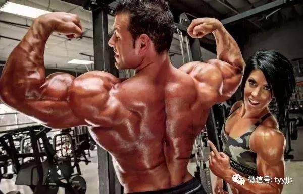 健身初学者增肌训练计划,健身房初学者男士健身计划