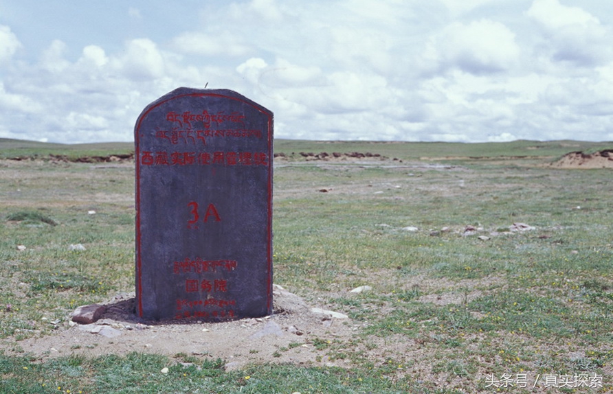 荒野求生秘籍完整版,荒野自救教程