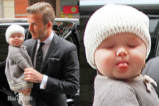 小七现状贝克汉姆,小七贝克汉姆万千宠爱